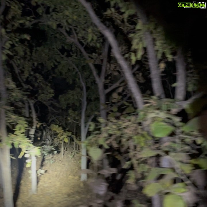 Sakshi Pradhan Instagram - Routine Night Safari 🔥 🕵🏼♀️ 😝 #Animalspotting #bluebulls #jackal #hare #moonlit #bonfire #wineanddine #jungle Punjapura