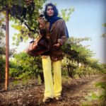 Sakshi Pradhan Instagram - whatever you do Pour yourself into it 🍇 #vineyard #exploreindia