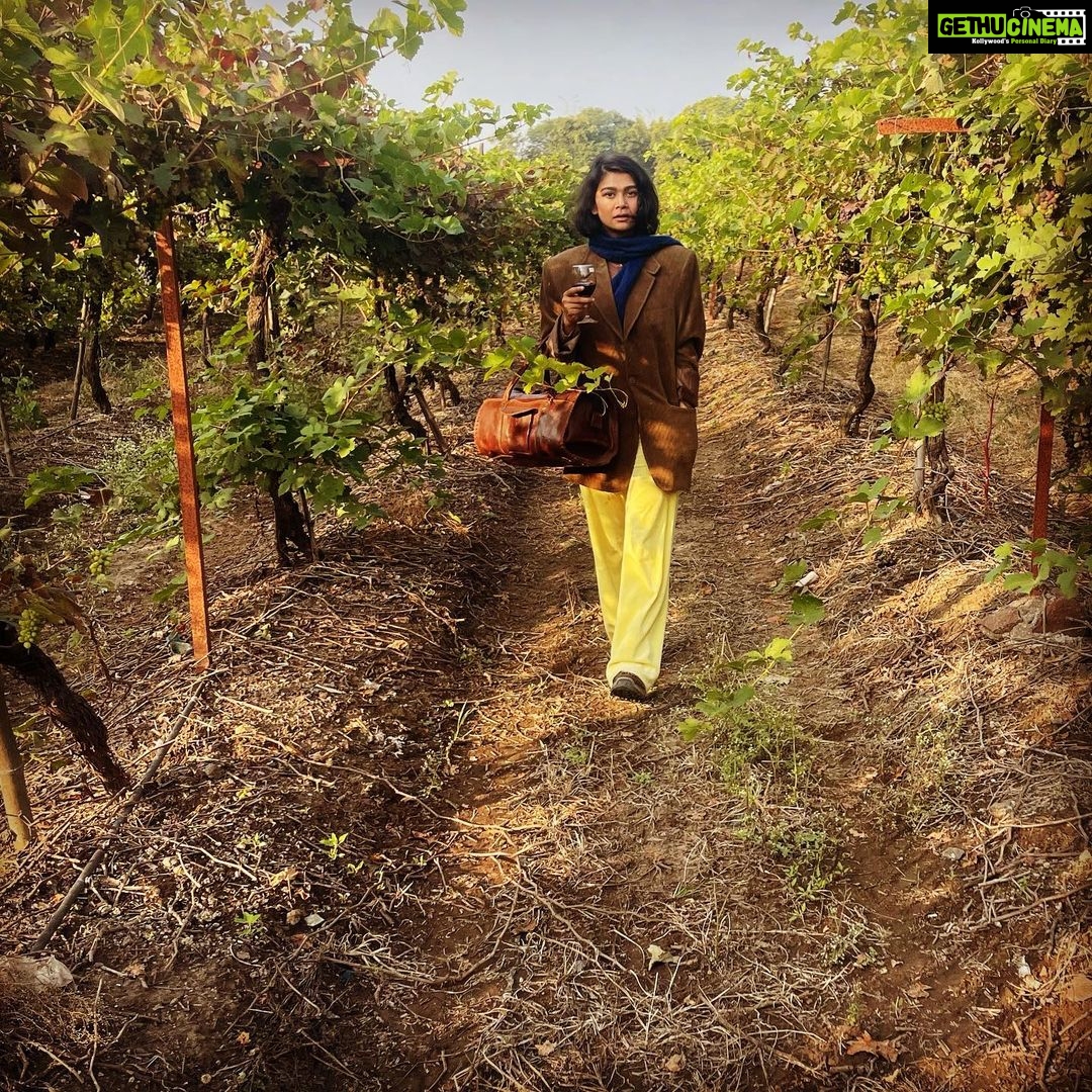 Sakshi Pradhan Instagram - whatever you do Pour yourself into it 🍇 #vineyard #exploreindia