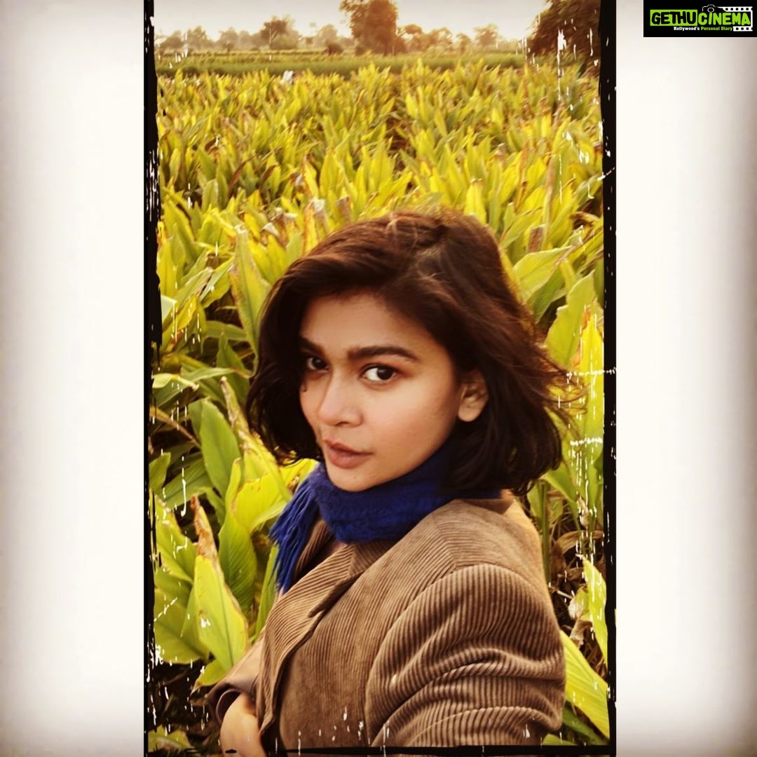 Sakshi Pradhan Instagram - whatever you do Pour yourself into it 🍇 #vineyard #exploreindia