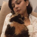 Sakshi Pradhan Instagram – Change of Expressions and body Language in secs 🐈 #Gloria #whitewalker #Kitten ❄️ 🧿