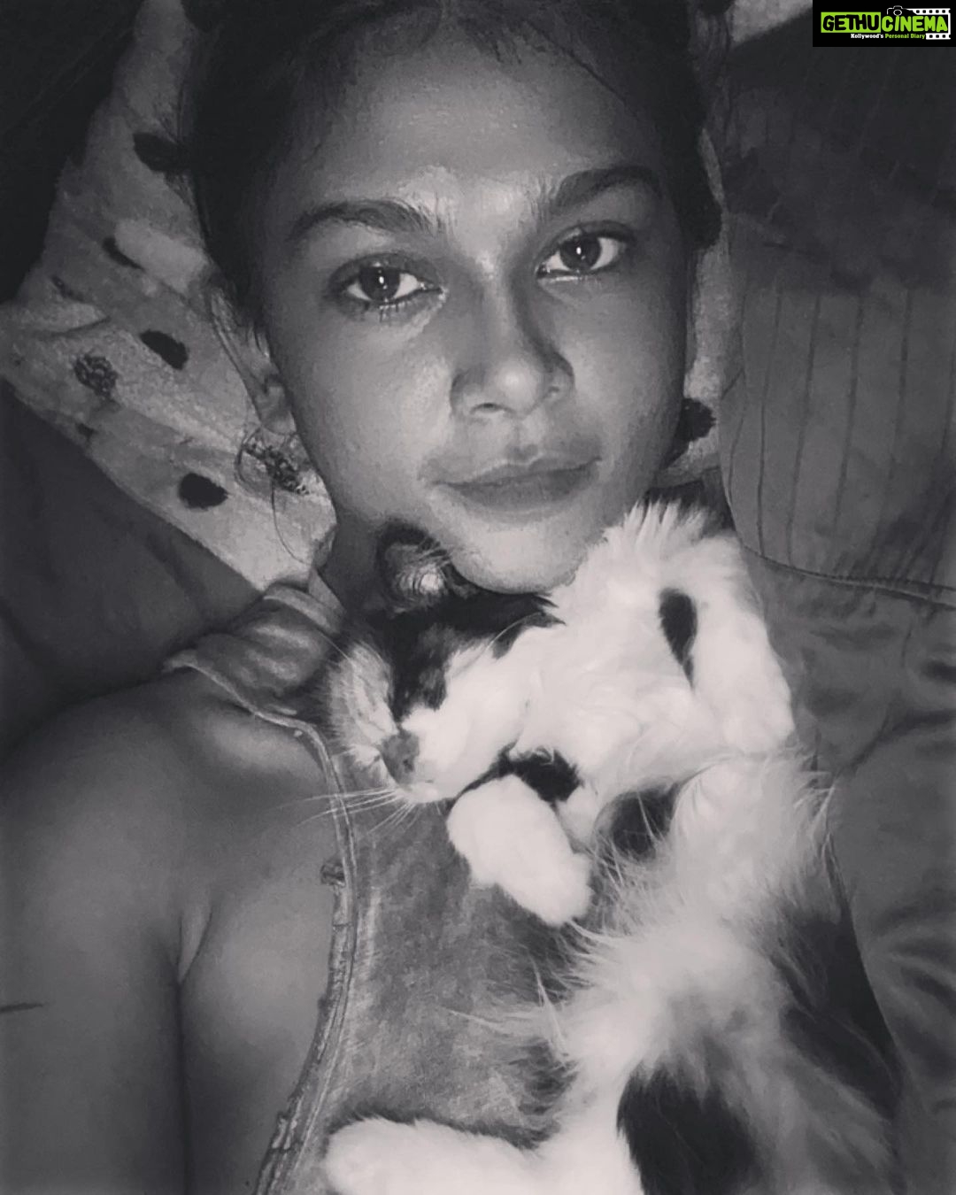 Sakshi Pradhan Instagram - Good Night 🐈Gloria🐈⬛
