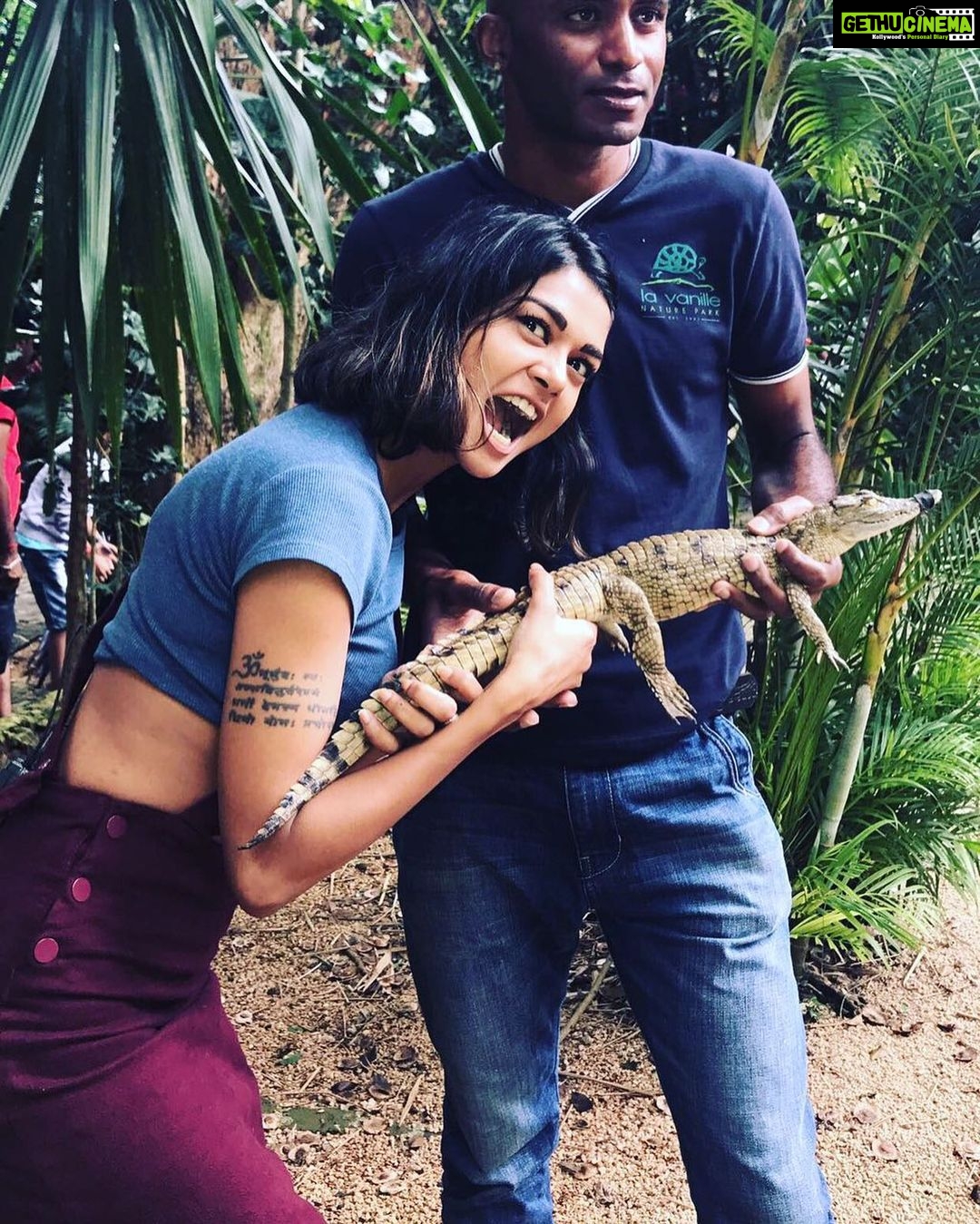 Sakshi Pradhan Instagram - I told you I am Dangerous! 🐊