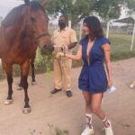 Sakshi Pradhan Instagram – #Stallion 🐎 
#champion 
#horsepower 
#studfarm 
#sameleague 
#roundup
 #throwback