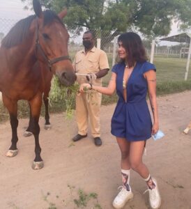 Sakshi Pradhan Instagram - #Stallion 🐎 
#champion 
#horsepower 
#studfarm 
#sameleague 
#roundup
 #throwback