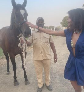 Sakshi Pradhan Instagram - #Stallion 🐎 
#champion 
#horsepower 
#studfarm 
#sameleague 
#roundup
 #throwback