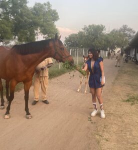 Sakshi Pradhan Instagram - #Stallion 🐎 
#champion 
#horsepower 
#studfarm 
#sameleague 
#roundup
 #throwback