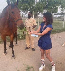 Sakshi Pradhan Instagram - #Stallion 🐎 
#champion 
#horsepower 
#studfarm 
#sameleague 
#roundup
 #throwback