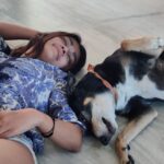 Sakshi Pradhan Instagram - ! Animal Month ! throughback to oct chubby me 🙈🐰 #animaledition 🐕🤍👩🏻 #dogoftheday #sundaymood☀️ #happydog #happyhuman #explore credit 📷 @bullinaparade and hope u remember @emotivetunz 🥺😍