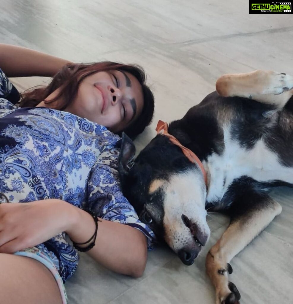 Sakshi Pradhan Instagram - ! Animal Month ! throughback to oct chubby me 🙈🐰 #animaledition 🐕🤍👩🏻 #dogoftheday #sundaymood☀️ #happydog #happyhuman #explore credit 📷 @bullinaparade and hope u remember @emotivetunz 🥺😍