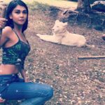 Sakshi Pradhan Instagram - #BigCat #SmallCat … Mauritius