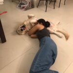 Samara Tijori Instagram - Happy Birthday to my one year old brother. May I always be your sofa. @winter_the_white_retriever