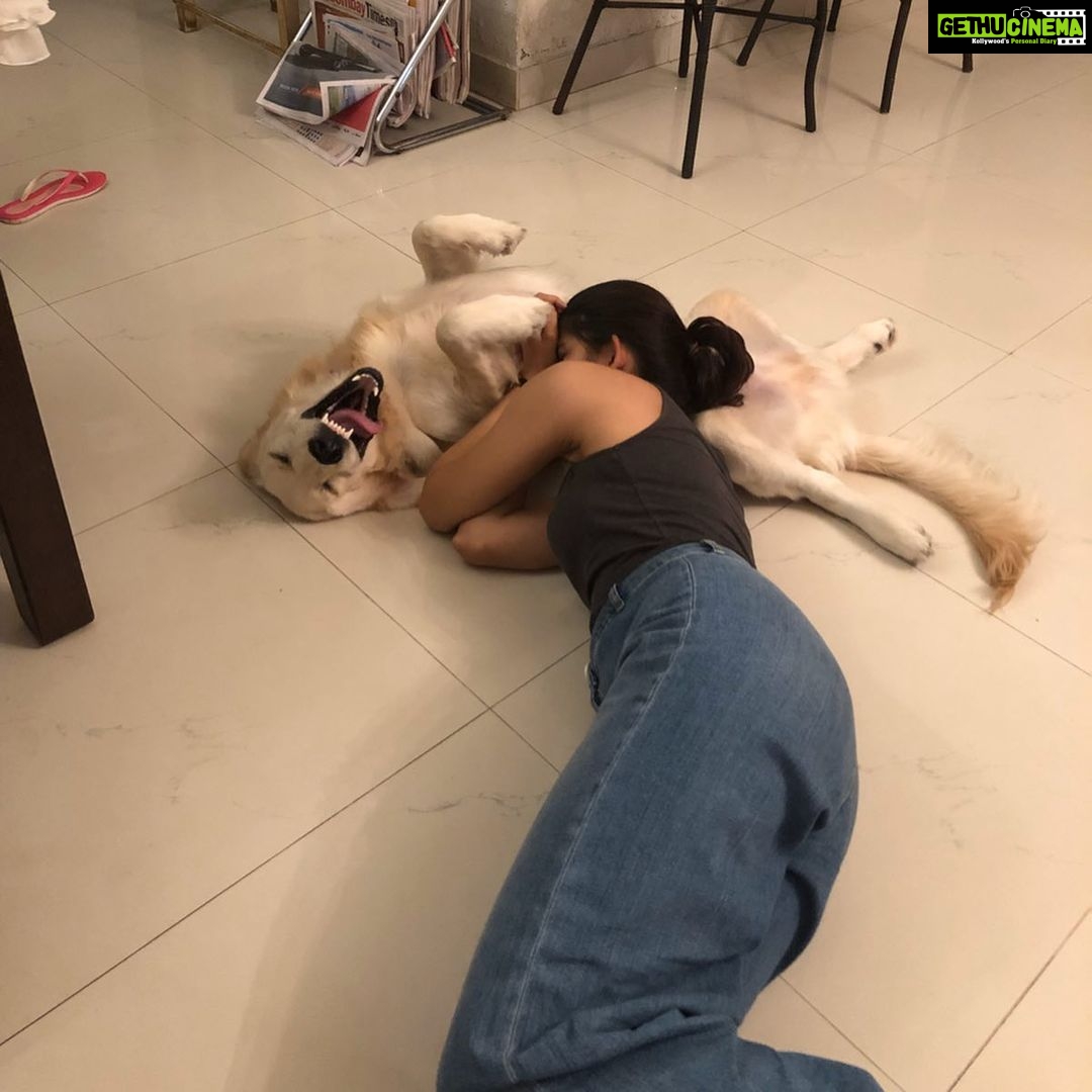 Samara Tijori Instagram - Happy Birthday to my one year old brother. May I always be your sofa. @winter_the_white_retriever