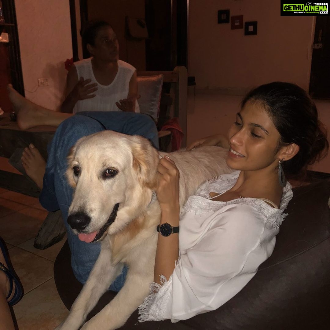 Samara Tijori Instagram - Happy Birthday to my one year old brother. May I always be your sofa. @winter_the_white_retriever