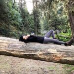 Samara Tijori Instagram - It's Sunday. Go lie on a tree.