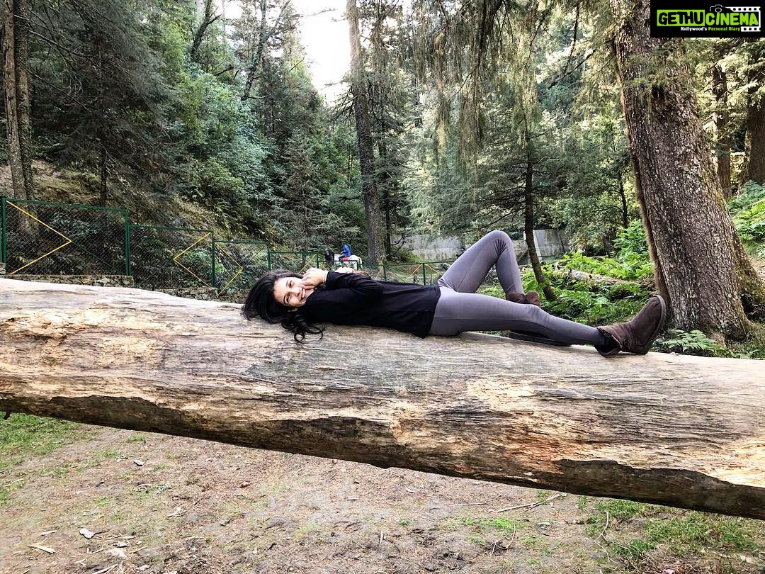 Samara Tijori Instagram - It's Sunday. Go lie on a tree.