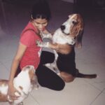 Samara Tijori Instagram - People ask me "oh so you're an only child?" And I go "haha no I have two dogs, they're my siblings." #fraizer and #muffin
