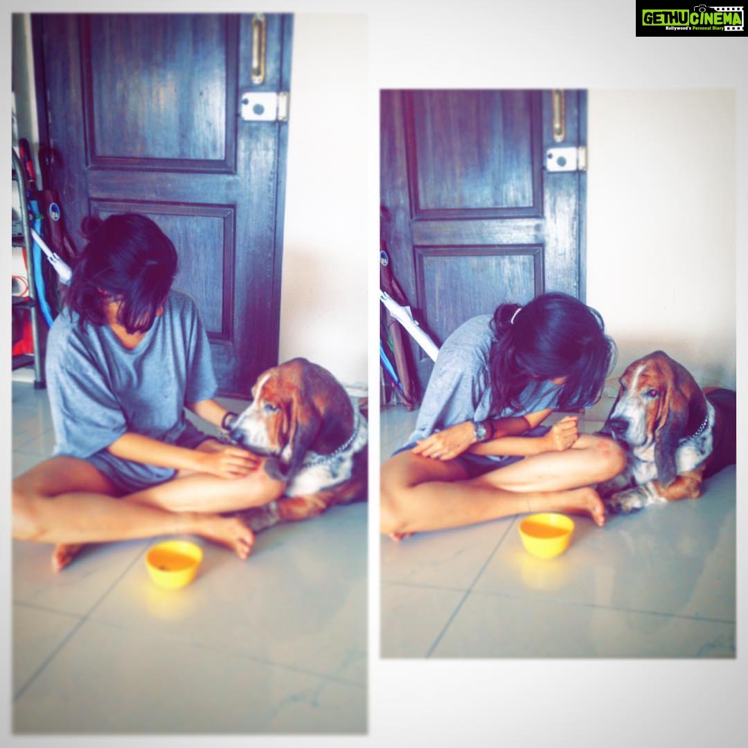 Samara Tijori Instagram - When your dog realises the bowl is more important than you. #pleaseloveme #fraizer