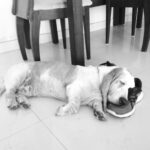 Samara Tijori Instagram - Anytime. Anywhere. #muffin #doesntcare