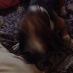 Samara Tijori Instagram - I'm being yelled at because I was out of the house for too long.