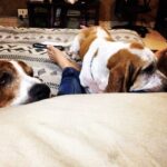 Samara Tijori Instagram - So needy.