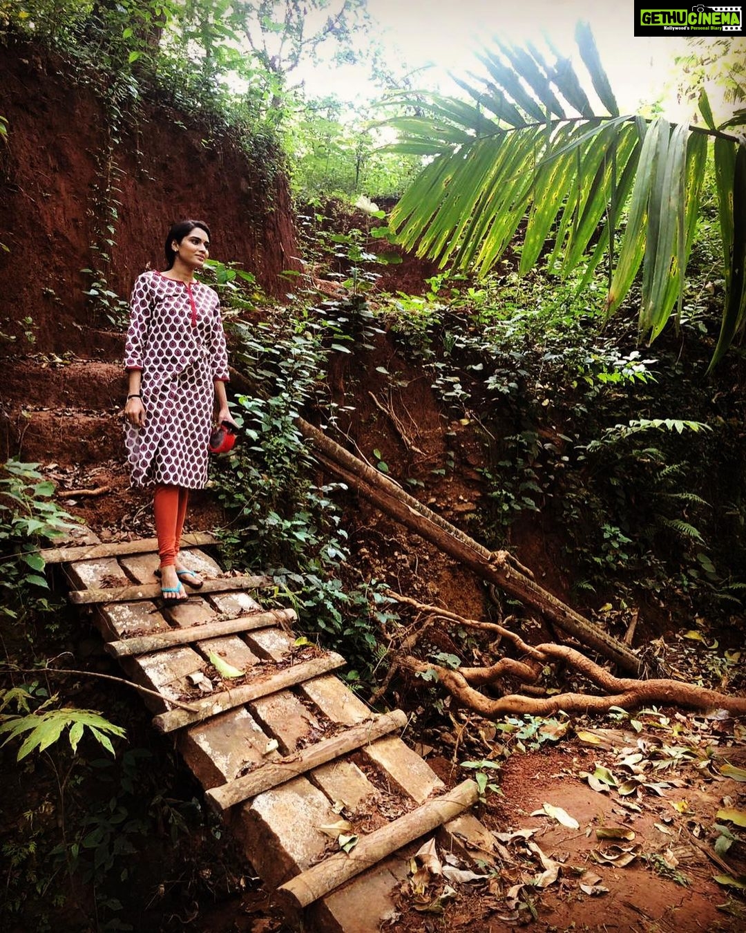 Sangeetha Bhat Instagram - Photo dump from mudigere and sagara shoot….(2) #grateful #gratitude #sangeethabhat #sangeethabhatsudarshan