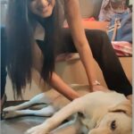 Sangeetha Sringeri Instagram - Belly rubs and few treats, all that she wants! @charlie_thesuperstar #777charlie Watch #777charlie in ur nearby theatre!