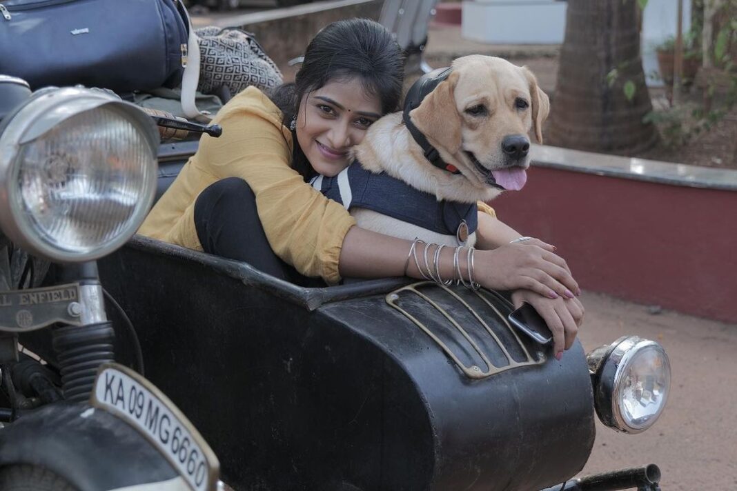 Sangeetha Sringeri Instagram - Devika Aradhya❤️, a Character thats close to my heart forever !
Hope u watched 777 Charlie in ur nearby theatres, let me know your feedback on the film and Devika too 💋
I love u Charlie ❤️
#777charlie Sangeetha Sringeri Instagram - Devika Aradhya❤️, a Character thats close to my heart forever ! Hope u watched 777 Charlie in ur nearby theatres, let me know your feedback on the film and Devika too 💋 I love u Charlie ❤️ #777charlie