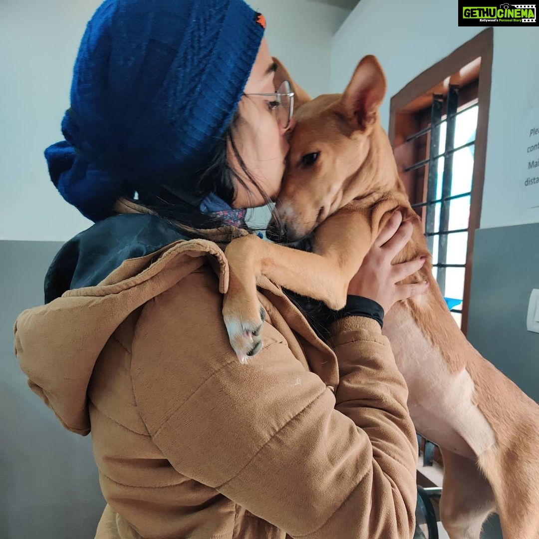 Sangeetha Sringeri Instagram - (Since i couldn't reply to all the messages) Well flora had this rare condition called Congenital pericardioperitoneal hernia, i got to know this after a week of adopting her, since she use to breath abnormally and got her scanned. The vet told the only way to save her is Surgery, which again cannot be guaranteed to be successful, the mortality rate was 50% It was a tough decision! Since Flora was asymptomatic and too young to receive a surgery i decided to let her live happily untill she could, all i could do was Love her Months passed by and flora never showed symptoms, she was hyperactive.. i somewhere felt some miracle has happen.. i barely remembered about her condition by her activeness and her love. On 21st Feb morning , Flora's symptom started showing up, which I don't wanna elaborate, for the first time.. my heart sank and she was rushed to veterinary hospital where she was diagnosed earlier, after calming her to scan, we found the time has come for her to go through the surgery or she won't make it anyway. With no options in my hand, i preferred surgery as i still had "hope"! At this hard time i had my mom, my besties @shrey.u @being.yogic right beside me, we hugged and kissed Flora while tears rolled down our cheeks, it all happned so soon The operation started at 12:30 pm and went on till 3:30 pm and the doc said the operation was successful, he showed us images of the complexity of the surgery, i was extremely happy but he said she needs to wake up from anesthesia and breathe after we remove the oxygen pipe. They waited for 45mins and when they removed the pipe, Flora had passed away! It took me all this tym n strength to type this, but its because of the way she changed me.. even though her journey was short, she taught me so many things that i can never forget. She was a miracle! When those u usually seek comfort from are all grieving along with u, it can feel like u have no one to lean on for support. Thank you @ashinpaul for coming to the funeral and for helping me. I had no idea how much I needed your presence to help steady me,I genuinely appreciate it Thank you so much @kiranraj_k sir @rakshith_kaup to visit and check on her.