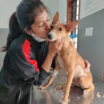 Sangeetha Sringeri Instagram - (Since i couldn't reply to all the messages) Well flora had this rare condition called Congenital pericardioperitoneal hernia, i got to know this after a week of adopting her, since she use to breath abnormally and got her scanned. The vet told the only way to save her is Surgery, which again cannot be guaranteed to be successful, the mortality rate was 50% It was a tough decision! Since Flora was asymptomatic and too young to receive a surgery i decided to let her live happily untill she could, all i could do was Love her Months passed by and flora never showed symptoms, she was hyperactive.. i somewhere felt some miracle has happen.. i barely remembered about her condition by her activeness and her love. On 21st Feb morning , Flora's symptom started showing up, which I don't wanna elaborate, for the first time.. my heart sank and she was rushed to veterinary hospital where she was diagnosed earlier, after calming her to scan, we found the time has come for her to go through the surgery or she won't make it anyway. With no options in my hand, i preferred surgery as i still had "hope"! At this hard time i had my mom, my besties @shrey.u @being.yogic right beside me, we hugged and kissed Flora while tears rolled down our cheeks, it all happned so soon The operation started at 12:30 pm and went on till 3:30 pm and the doc said the operation was successful, he showed us images of the complexity of the surgery, i was extremely happy but he said she needs to wake up from anesthesia and breathe after we remove the oxygen pipe. They waited for 45mins and when they removed the pipe, Flora had passed away! It took me all this tym n strength to type this, but its because of the way she changed me.. even though her journey was short, she taught me so many things that i can never forget. She was a miracle! When those u usually seek comfort from are all grieving along with u, it can feel like u have no one to lean on for support. Thank you @ashinpaul for coming to the funeral and for helping me. I had no idea how much I needed your presence to help steady me,I genuinely appreciate it Thank you so much @kiranraj_k sir @rakshith_kaup to visit and check on her.
