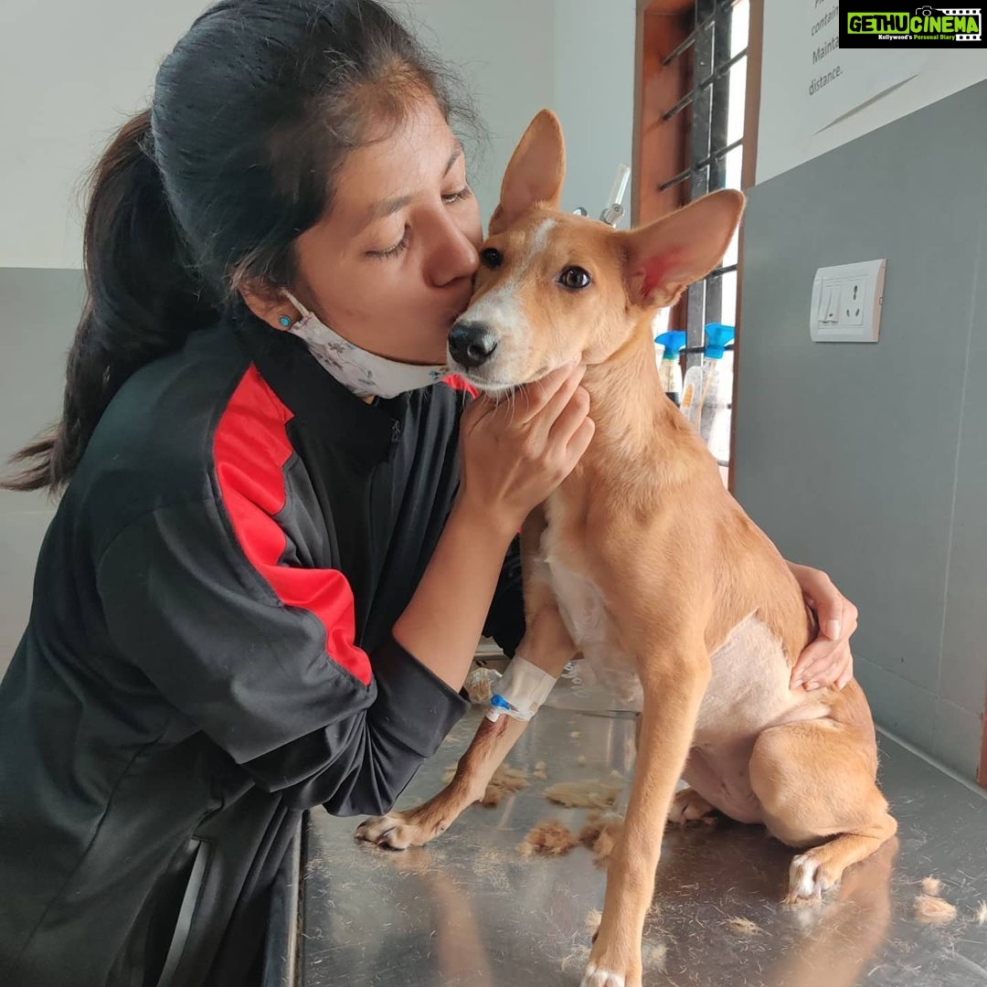 Sangeetha Sringeri Instagram - (Since i couldn't reply to all the messages) Well flora had this rare condition called Congenital pericardioperitoneal hernia, i got to know this after a week of adopting her, since she use to breath abnormally and got her scanned. The vet told the only way to save her is Surgery, which again cannot be guaranteed to be successful, the mortality rate was 50% It was a tough decision! Since Flora was asymptomatic and too young to receive a surgery i decided to let her live happily untill she could, all i could do was Love her Months passed by and flora never showed symptoms, she was hyperactive.. i somewhere felt some miracle has happen.. i barely remembered about her condition by her activeness and her love. On 21st Feb morning , Flora's symptom started showing up, which I don't wanna elaborate, for the first time.. my heart sank and she was rushed to veterinary hospital where she was diagnosed earlier, after calming her to scan, we found the time has come for her to go through the surgery or she won't make it anyway. With no options in my hand, i preferred surgery as i still had "hope"! At this hard time i had my mom, my besties @shrey.u @being.yogic right beside me, we hugged and kissed Flora while tears rolled down our cheeks, it all happned so soon The operation started at 12:30 pm and went on till 3:30 pm and the doc said the operation was successful, he showed us images of the complexity of the surgery, i was extremely happy but he said she needs to wake up from anesthesia and breathe after we remove the oxygen pipe. They waited for 45mins and when they removed the pipe, Flora had passed away! It took me all this tym n strength to type this, but its because of the way she changed me.. even though her journey was short, she taught me so many things that i can never forget. She was a miracle! When those u usually seek comfort from are all grieving along with u, it can feel like u have no one to lean on for support. Thank you @ashinpaul for coming to the funeral and for helping me. I had no idea how much I needed your presence to help steady me,I genuinely appreciate it Thank you so much @kiranraj_k sir @rakshith_kaup to visit and check on her.