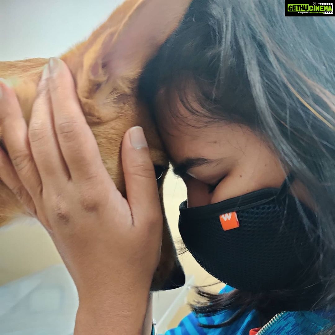 Sangeetha Sringeri Instagram - (Since i couldn't reply to all the messages) Well flora had this rare condition called Congenital pericardioperitoneal hernia, i got to know this after a week of adopting her, since she use to breath abnormally and got her scanned. The vet told the only way to save her is Surgery, which again cannot be guaranteed to be successful, the mortality rate was 50% It was a tough decision! Since Flora was asymptomatic and too young to receive a surgery i decided to let her live happily untill she could, all i could do was Love her Months passed by and flora never showed symptoms, she was hyperactive.. i somewhere felt some miracle has happen.. i barely remembered about her condition by her activeness and her love. On 21st Feb morning , Flora's symptom started showing up, which I don't wanna elaborate, for the first time.. my heart sank and she was rushed to veterinary hospital where she was diagnosed earlier, after calming her to scan, we found the time has come for her to go through the surgery or she won't make it anyway. With no options in my hand, i preferred surgery as i still had "hope"! At this hard time i had my mom, my besties @shrey.u @being.yogic right beside me, we hugged and kissed Flora while tears rolled down our cheeks, it all happned so soon The operation started at 12:30 pm and went on till 3:30 pm and the doc said the operation was successful, he showed us images of the complexity of the surgery, i was extremely happy but he said she needs to wake up from anesthesia and breathe after we remove the oxygen pipe. They waited for 45mins and when they removed the pipe, Flora had passed away! It took me all this tym n strength to type this, but its because of the way she changed me.. even though her journey was short, she taught me so many things that i can never forget. She was a miracle! When those u usually seek comfort from are all grieving along with u, it can feel like u have no one to lean on for support. Thank you @ashinpaul for coming to the funeral and for helping me. I had no idea how much I needed your presence to help steady me,I genuinely appreciate it Thank you so much @kiranraj_k sir @rakshith_kaup to visit and check on her.