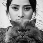 Sangeetha Sringeri Instagram - When Harry has no other Expression to share, i end up imitating him😂 #SangeethaSringeri #petphotoshoot #persioncatlovers P.C @henryroyzach #gratitude