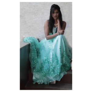 Sangeetha Sringeri Instagram -