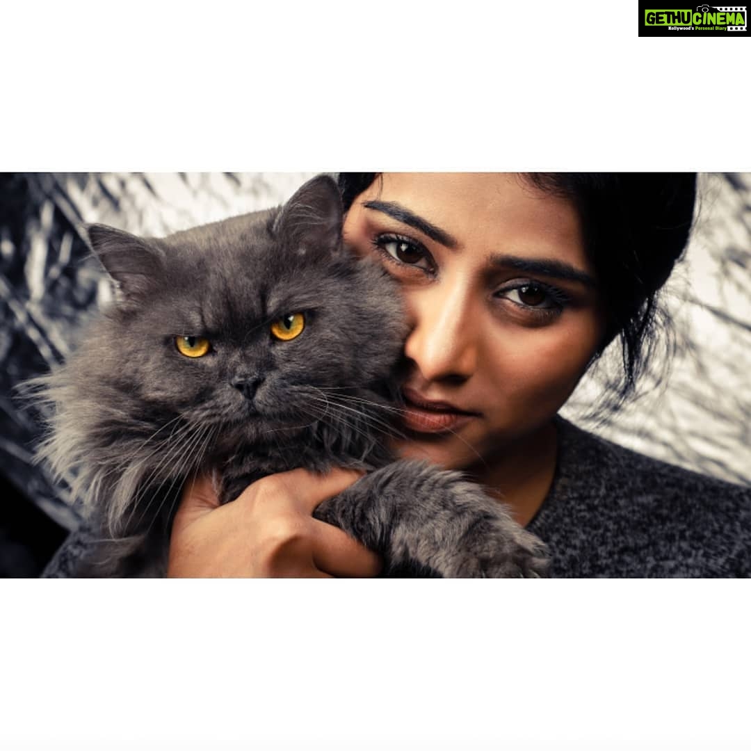 Sangeetha Sringeri Instagram - P.C @henryroyzach 😍😍