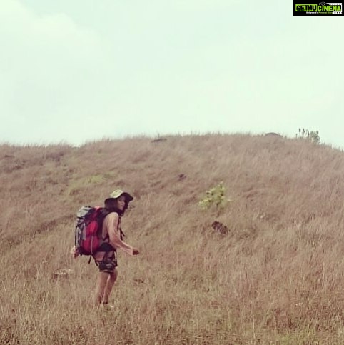 Sangeetha Sringeri Instagram - #insearchofpeace✌ #kukke #kumaraParvatha #trekking #ig_karnataka Kumara Parvata