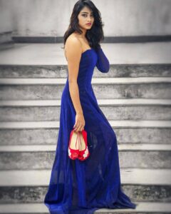 Sangeetha Sringeri Instagram - Credits: @henryroyzach