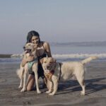 Shalini Pandey Instagram - It’s their world & I’m just living in it 🐶🤎 #MyBabies #MyHeart