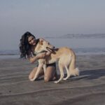 Shalini Pandey Instagram - It’s their world & I’m just living in it 🐶🤎 #MyBabies #MyHeart