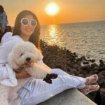 Shama Sikander Instagram - A perfect sunset with my baby Casper 💕💕 . . . #casper #mybaby #sunset #mumbailife #spreadlove #postivevibes #perfectday #actorslife #shamasikander