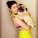 Shefali Jariwala Instagram - My boy ♥️😘 . . . #pugsofinstagram #pugmom #puglove #love #instalove #bestfriend #mysonshine