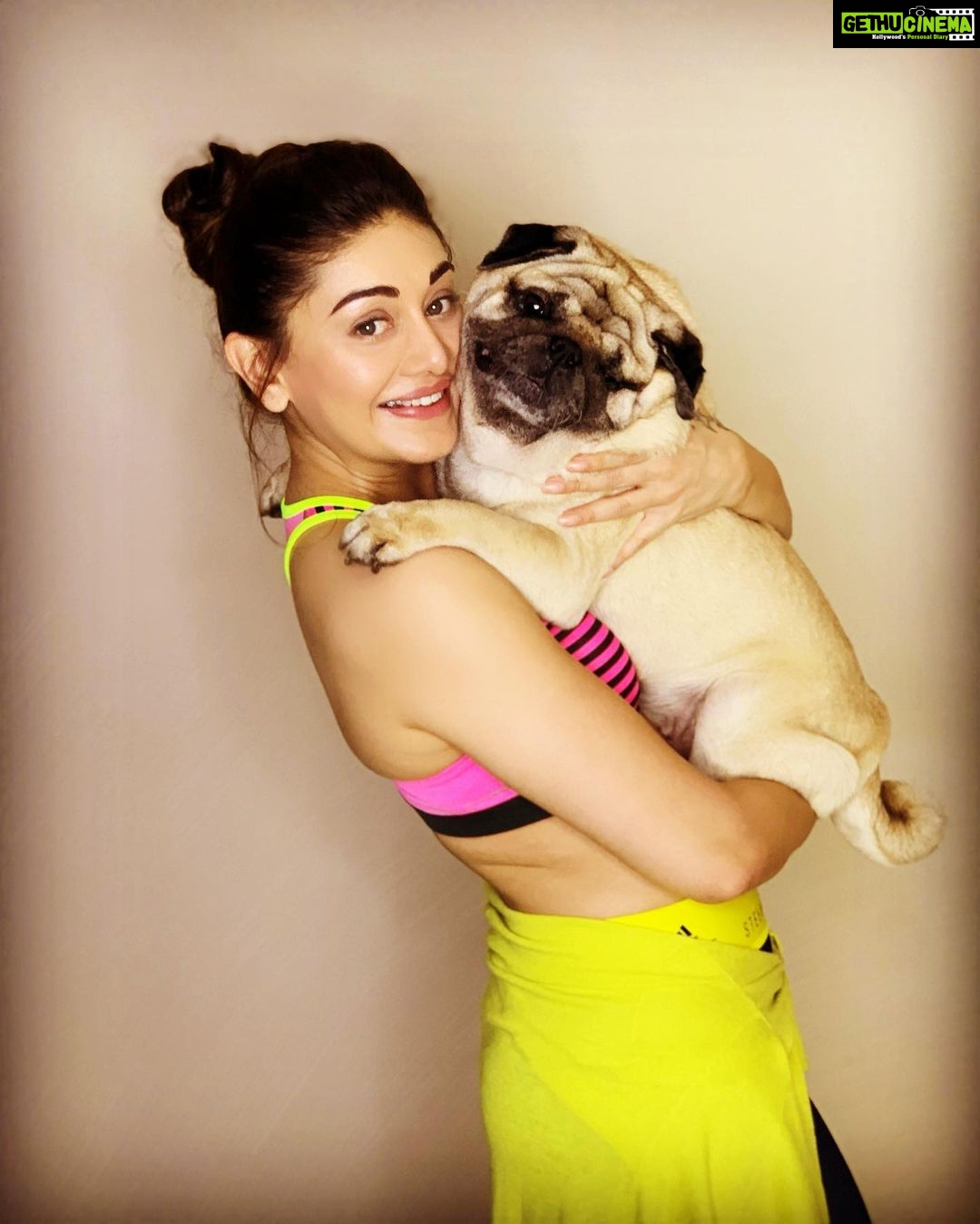 Shefali Jariwala Instagram - My boy ♥️😘 . . . #pugsofinstagram #pugmom #puglove #love #instalove #bestfriend #mysonshine