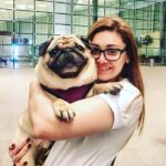 Shefali Jariwala Instagram - My boy ♥️ . . . #puglove #pugsofinstagram #dogmom #pugmom #instalove #love #happybirthday