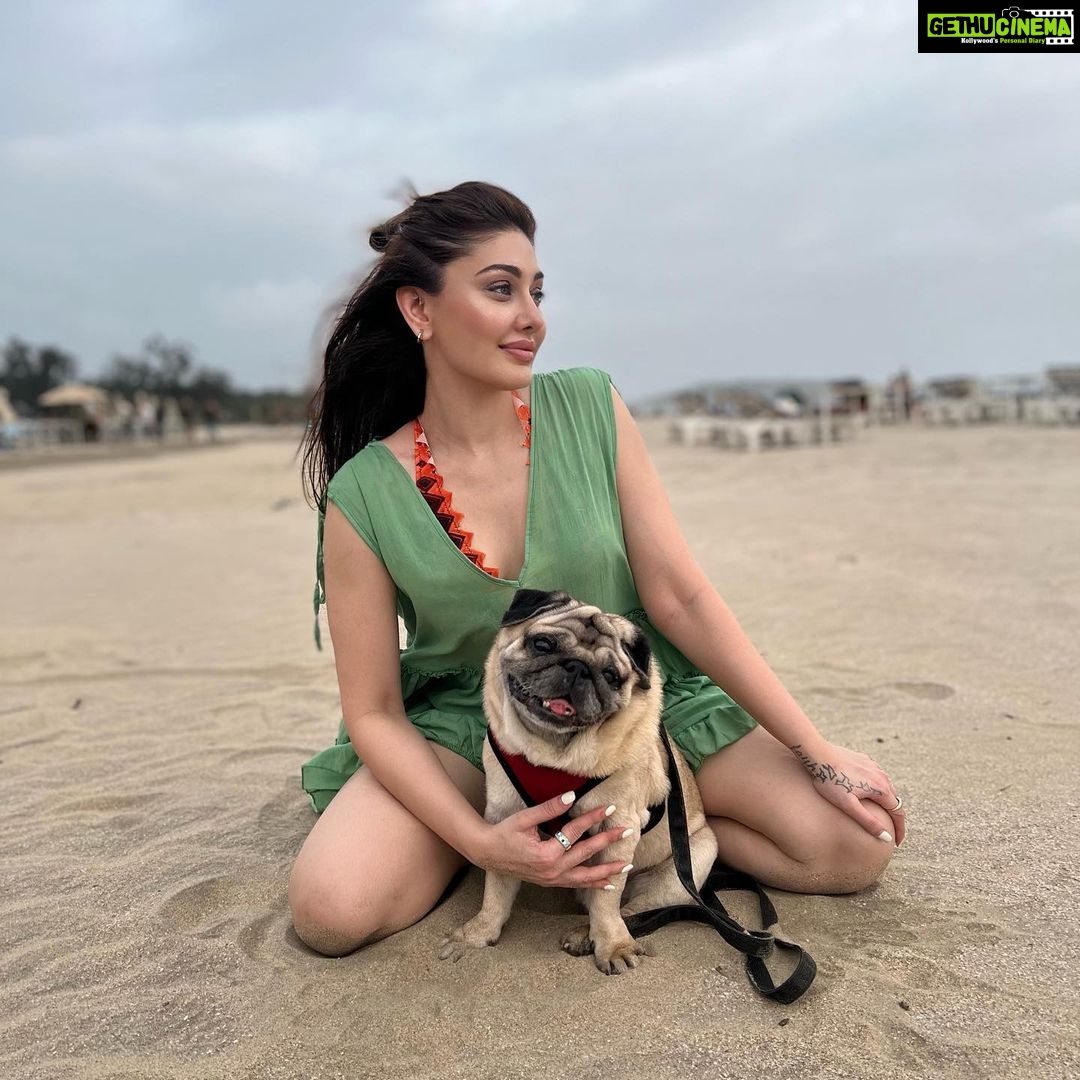 Shefali Jariwala Instagram - This my little heaven! #beachlife . . . @simba_mommys_boy #morjim #goadiaries #beachvibes #beachbum #happyplace #nomondayblues #oceanlover #beachlover #love #instagood #goodlife #gratitude Goa