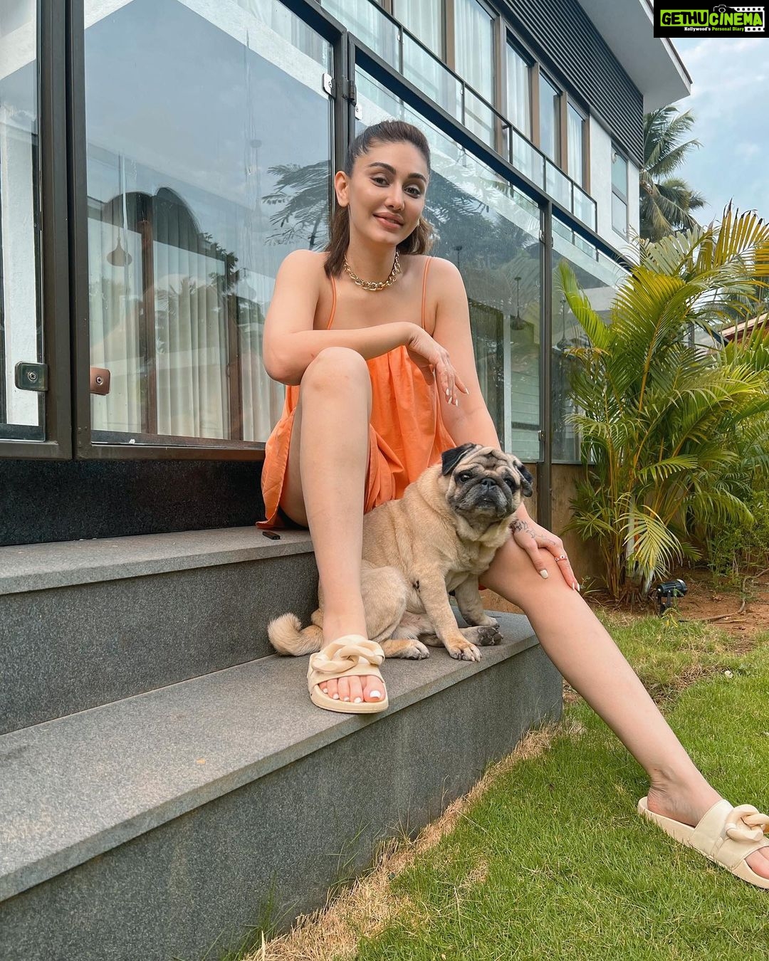 Shefali Jariwala Instagram - Me with mine ! @simba_mommys_boy #goodlife . . . #goa #chillmode #relaxtime #thursdayvibes #loveisintheair #funtimes #goadiaries #instadaily