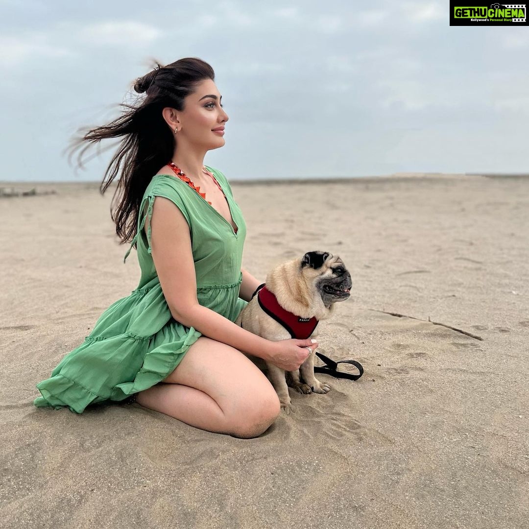Shefali Jariwala Instagram - This my little heaven! #beachlife . . . @simba_mommys_boy #morjim #goadiaries #beachvibes #beachbum #happyplace #nomondayblues #oceanlover #beachlover #love #instagood #goodlife #gratitude Goa