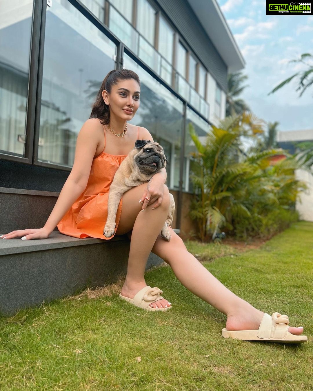 Shefali Jariwala Instagram - Me with mine ! @simba_mommys_boy #goodlife . . . #goa #chillmode #relaxtime #thursdayvibes #loveisintheair #funtimes #goadiaries #instadaily