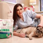 Shefali Jariwala Instagram - My Pug – Simba, is as important to me as his diet is to him! And that’s why I chose @iams_india pug blend! It is an all-in-one pack of nutrition, energy, and taste that keeps him healthy, energetic and active. It keeps his skin coat and teeth in the best of health and overall, it just makes him a happy dog! Get your dog premium dog food that is tailor-made especially for their breed only from @iams_india. #Ad #IAMS #IAMSWHOIAM #TailoredNutrition #UniqueBest #SeeTheWow #ad #dogfood #dog #dogsofinstagram #dogs #pug #pugdog #pugsofinstagram #petfood #petshop #doglovers #dogtreats #doglover #doglife #dogstagram #pets #instadog #dogoftheday #petsofinstagram #healthydogfood #petshoponline #healthydog #petsupplies