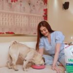 Shefali Jariwala Instagram – Pug- If you asked me who’s a happy doggo? 
 
I’ll say- I AM because of IAMS!
 
I love the treats that my best friend @shefalijariwala gives me because it makes me so healthy and energetic all day. It makes my digestion easy and makes my fur feel super soft. Safe to say I have minimal hair fall issues 😉. I can’t thank my Human mom enough for nourishing me with the best of treats. 
 
Get your dog food tailored specially for their breed only from @iams_india.
 
#ad #dogfood #dog #dogsofinstagram #dogs #petfood #petshop #doglovers #dogtreats #doglover #doglife #dogstagram #pets #instadog #dogoftheday #petsofinstagram #healthydogfood #petshoponline #healthydog #petsupplies #IAMS #IAMSWHOIAM #TailoredNutrition #UniqueBest #SeeTheWow #IamsForPugs #Pugs #pugsofinstagram