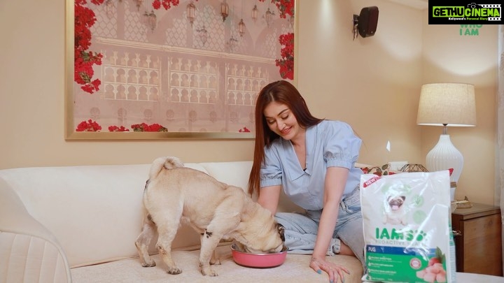 Shefali Jariwala Instagram - Pug- If you asked me who’s a happy doggo? I’ll say- I AM because of IAMS! I love the treats that my best friend @shefalijariwala gives me because it makes me so healthy and energetic all day. It makes my digestion easy and makes my fur feel super soft. Safe to say I have minimal hair fall issues 😉. I can’t thank my Human mom enough for nourishing me with the best of treats. Get your dog food tailored specially for their breed only from @iams_india. #ad #dogfood #dog #dogsofinstagram #dogs #petfood #petshop #doglovers #dogtreats #doglover #doglife #dogstagram #pets #instadog #dogoftheday #petsofinstagram #healthydogfood #petshoponline #healthydog #petsupplies #IAMS #IAMSWHOIAM #TailoredNutrition #UniqueBest #SeeTheWow #IamsForPugs #Pugs #pugsofinstagram